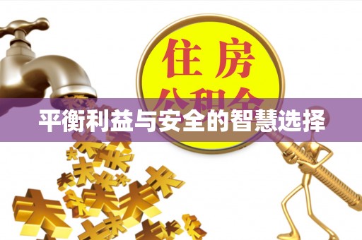 金山屯平衡利益与安全的智慧选择