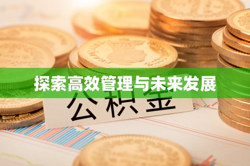 金山屯探索高效管理与未来发展