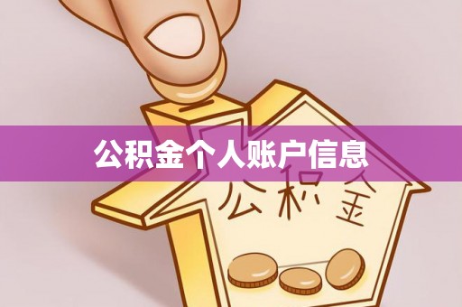 金山屯公积金个人账户信息
