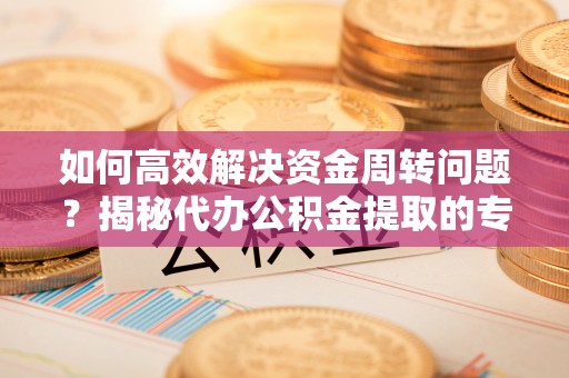 金山屯如何高效解决资金周转问题？揭秘代办公积金提取的专业服务