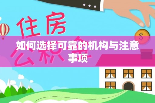 金山屯如何选择可靠的机构与注意事项