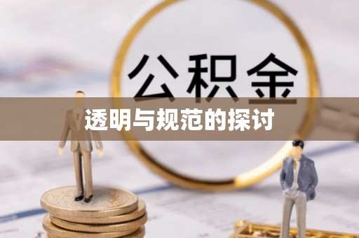 金山屯透明与规范的探讨