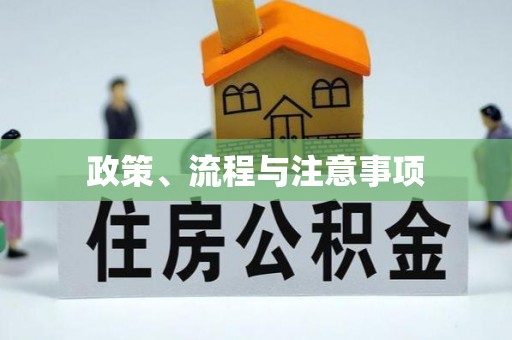 金山屯政策、流程与注意事项