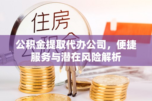 金山屯公积金提取代办公司，便捷服务与潜在风险解析