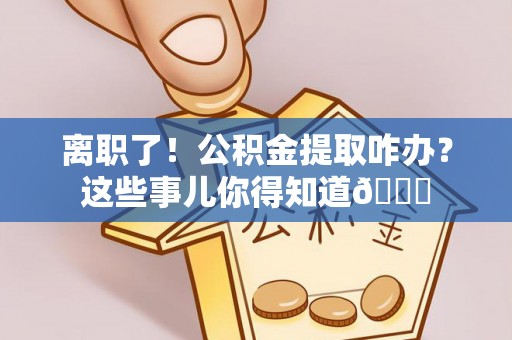 金山屯离职了！公积金提取咋办？这些事儿你得知道😎
