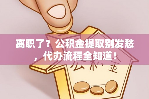 金山屯离职了？公积金提取别发愁，代办流程全知道！