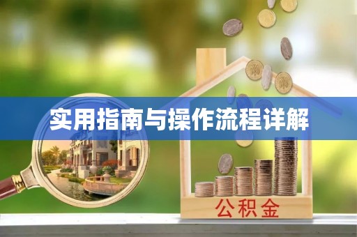 金山屯实用指南与操作流程详解