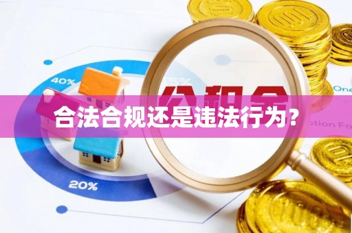金山屯合法合规还是违法行为？