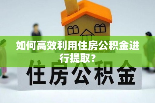 金山屯如何高效利用住房公积金进行提取？