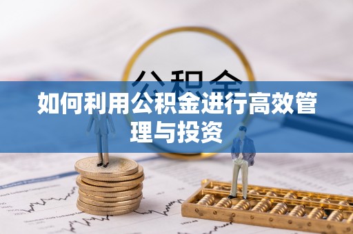 金山屯如何利用公积金进行高效管理与投资