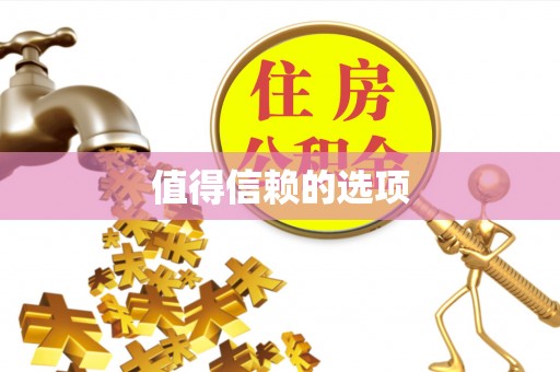 金山屯值得信赖的选项