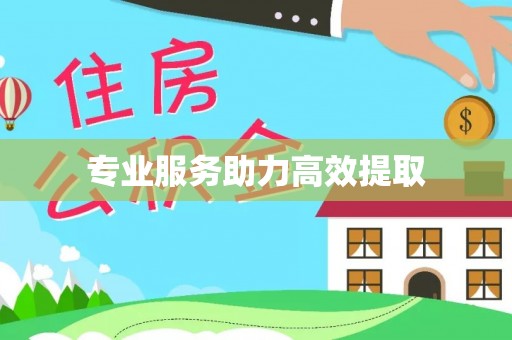 金山屯专业服务助力高效提取