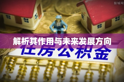 金山屯解析其作用与未来发展方向