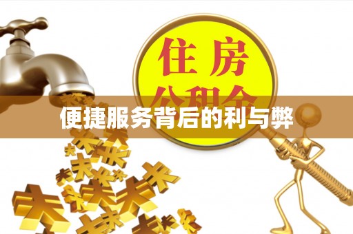 金山屯便捷服务背后的利与弊